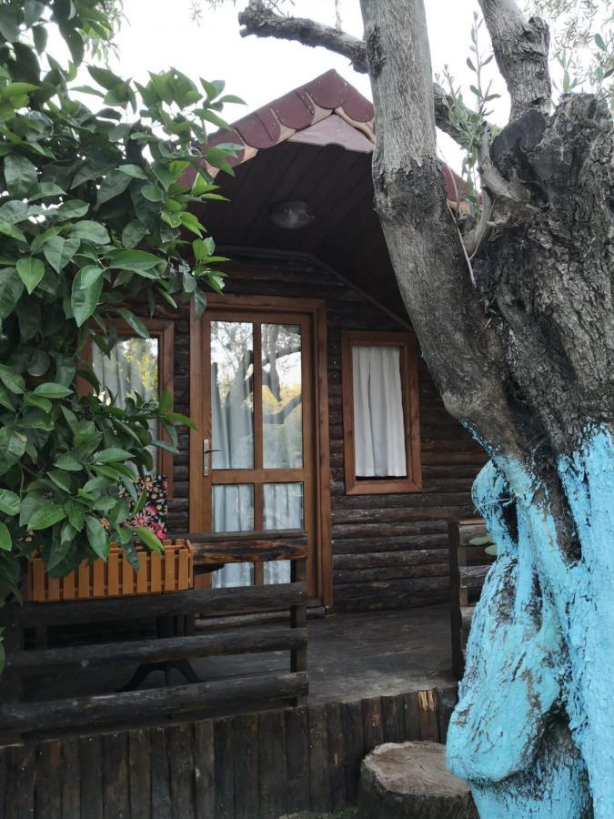 Mehmetalani Zeytindagi Bungalow מראה חיצוני תמונה