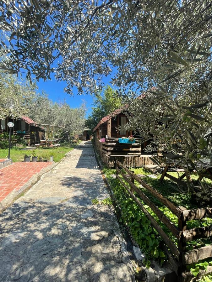 Mehmetalani Zeytindagi Bungalow מראה חיצוני תמונה