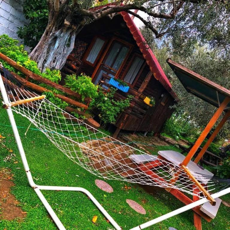 Mehmetalani Zeytindagi Bungalow מראה חיצוני תמונה