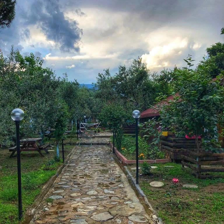 Mehmetalani Zeytindagi Bungalow מראה חיצוני תמונה