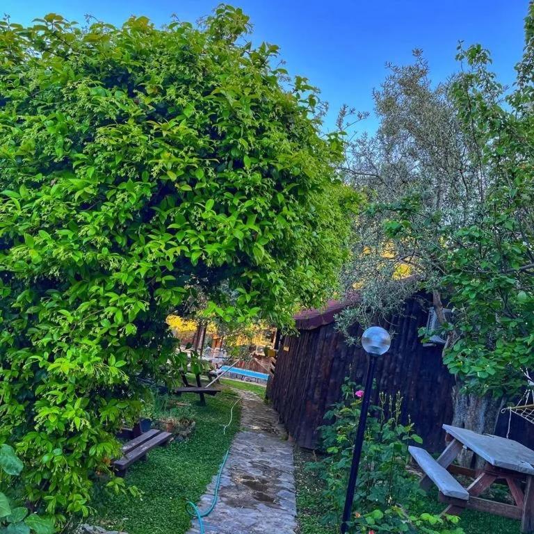 Mehmetalani Zeytindagi Bungalow מראה חיצוני תמונה