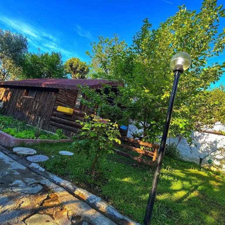 Mehmetalani Zeytindagi Bungalow מראה חיצוני תמונה