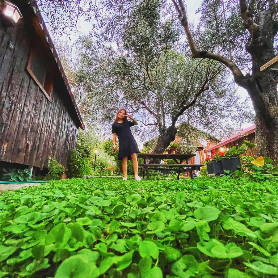 Mehmetalani Zeytindagi Bungalow מראה חיצוני תמונה